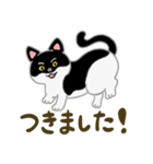 ネコのヤマトとオレオ（個別スタンプ：14）