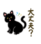 ネコのヤマトとオレオ（個別スタンプ：15）