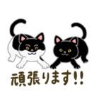 ネコのヤマトとオレオ（個別スタンプ：38）