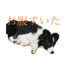 ぐみらむ（個別スタンプ：4）