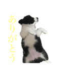 ぐみらむ（個別スタンプ：8）