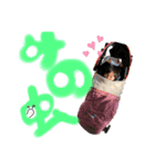 娘っ子、②（個別スタンプ：8）