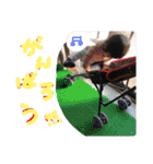娘っ子、②（個別スタンプ：9）