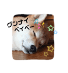 りょうの成長日記（個別スタンプ：6）