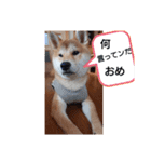 りょうの成長日記（個別スタンプ：8）
