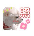 ぷんたスタンプ（個別スタンプ：7）