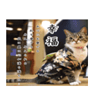 ねこ女将 まいちゃん 日常編（個別スタンプ：7）