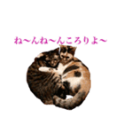 トラジとひばりの写真スタンプ（個別スタンプ：7）