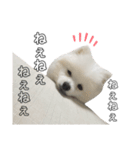 マヨ様だよ（個別スタンプ：5）
