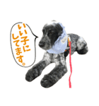 ズーとQ太のスタンプ（個別スタンプ：3）