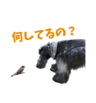 ズーとQ太のスタンプ（個別スタンプ：8）