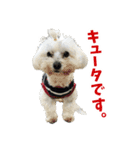 ズーとQ太のスタンプ（個別スタンプ：9）