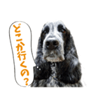 ズーとQ太のスタンプ（個別スタンプ：16）