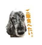 ズーとQ太のスタンプ（個別スタンプ：18）