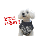 ズーとQ太のスタンプ（個別スタンプ：22）