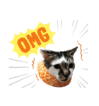ねこときどきとかげ。（個別スタンプ：14）