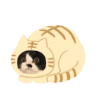 ねこときどきとかげ。（個別スタンプ：18）