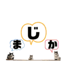 ねこときどきとかげ。（個別スタンプ：24）