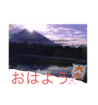 アニマールとなかま（個別スタンプ：6）