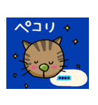 ねこがおカスタムスタンプ（個別スタンプ：11）