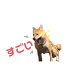 ガォーいっちゃん＆さすけ（個別スタンプ：10）