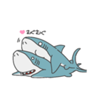 うサメ！（個別スタンプ：4）