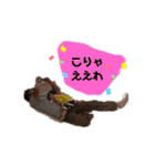 兄弟いつも一緒（個別スタンプ：5）