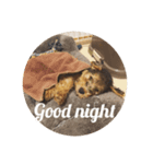 Baby welsh terrier（個別スタンプ：2）
