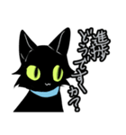 敬語くろねこ（個別スタンプ：29）