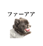 チロルの気持ち 2（個別スタンプ：8）