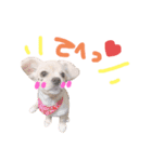 キャバチワぷんたのスタンプ（個別スタンプ：7）