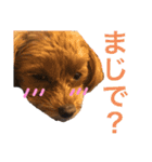 ねね♡（個別スタンプ：7）
