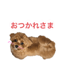 ねね♡（個別スタンプ：9）