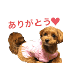 ねね♡（個別スタンプ：10）