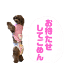 ねね♡（個別スタンプ：12）