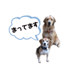 羽根木の仲間たち（個別スタンプ：30）