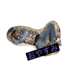 なおです2（個別スタンプ：4）
