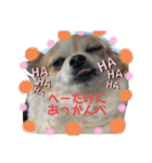 ペェシィココ（個別スタンプ：10）