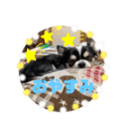 ペェシィココ（個別スタンプ：17）