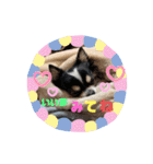 ペェシィココ（個別スタンプ：18）