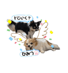 ペェシィココ（個別スタンプ：24）