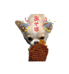 ペェシィココ（個別スタンプ：37）