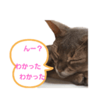 かんちゃん♡りょんちゃんの日常[だるだる]（個別スタンプ：4）