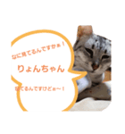 かんちゃん♡りょんちゃんの日常[だるだる]（個別スタンプ：6）