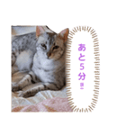 かんちゃん♡りょんちゃんの日常[だるだる]（個別スタンプ：7）