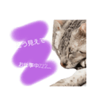 かんちゃん♡りょんちゃんの日常[だるだる]（個別スタンプ：8）