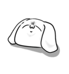 表情だけで伝えるウサギ（個別スタンプ：1）