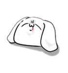 表情だけで伝えるウサギ（個別スタンプ：2）