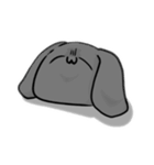 表情だけで伝えるウサギ（個別スタンプ：7）