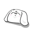 表情だけで伝えるウサギ（個別スタンプ：8）